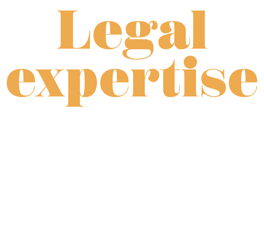 Legal expertise built for the digital age.